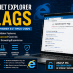 internet explorer flags​