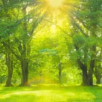 health threetrees com vn