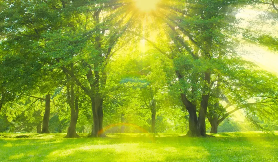 health threetrees com vn